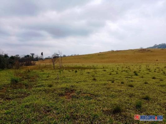 Fazenda à venda